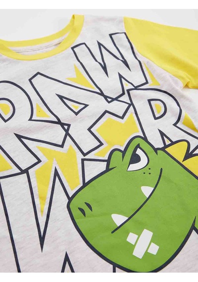 Rawr Dino Erkek Çocuk T-shirt Pantolon Takım