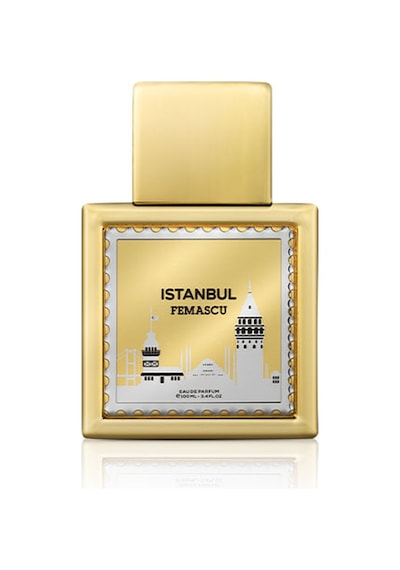 Femascu 6539 Istanbul Kadın Parfüm EDP 100 ML