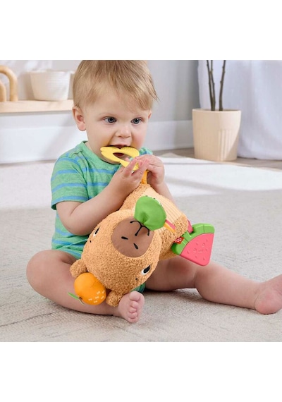 Fisher-price Yumuşak Kapibara Hyr54