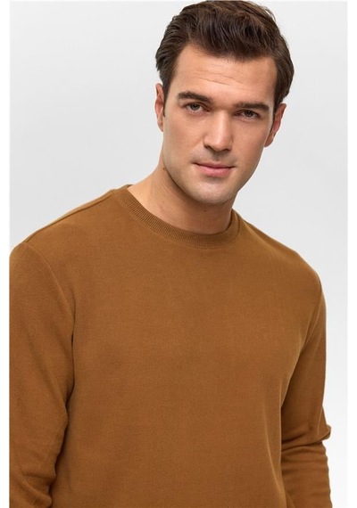 Süvari Koyu Kahve Regular Düz Bisiklet Yaka Sweatshirt Koyu Kahve