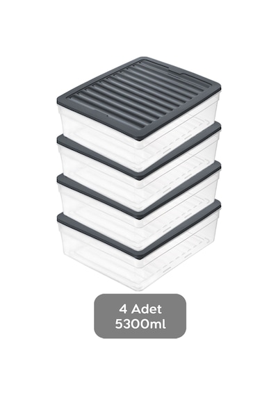 4'lü Derin Buzdolabı Organizer Set Düzenleyici Saklama Kabı Mikrodalga Difriz Kabı 5300 ML Antrasit