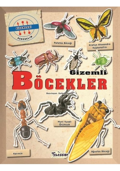 Gizemleri Öğrenelim - Böcekler - Rxlu-597853