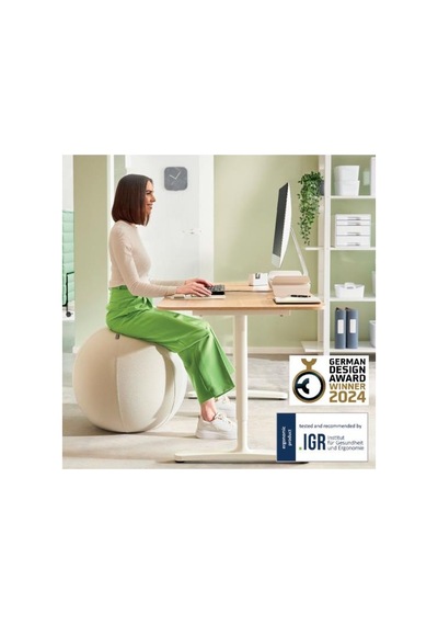 Leitz Ergo Active Kaymaz Oturma Topu 65 Cm - Açık Gri - Kod:65420085