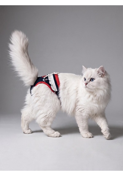 Diva Liva Dişi Kedi Regl Külotu Don Kedi İç Çamaşırı Ayarlanabilir Bağcıklı Küçük Irklar İçin