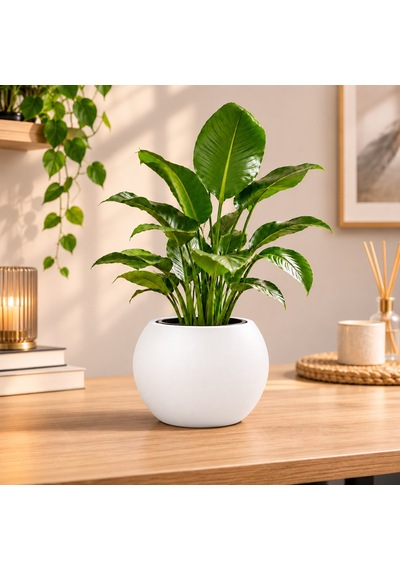 20x20 Cm Yuvarlak Dekoratif Saksı İçlikli, Modern Tasarım Salon Ve Bahçe Saksısı 9 Litre -