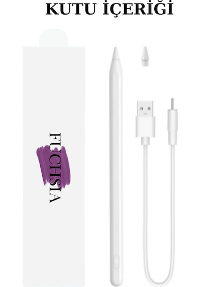 İpad Pro 13 2024 Uyumlu Avuç İçi Algılamayan Eğimle Çizim Kalınlığı Değişen Stylus Kalem