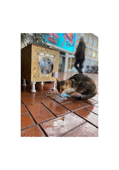 Kedi Kulübesi Dış Mekan Su Geçirmez 33x35x37 Cm