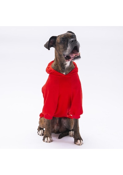 Pettrend Kırmızı Kanguru Cepli Kedi Köpek Hoodie Sweatshirt