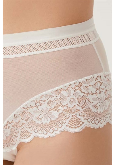 Cottonhill Dantel Detaylı Transparan Büyük Beden Bikini Külot 3'lü Paket Çok Renkli 1 Çok Renkli