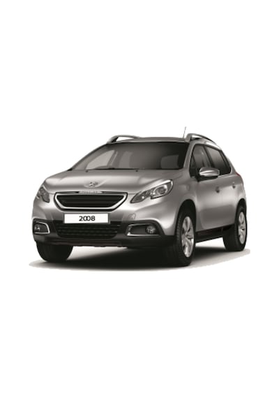 Peugeot 2008 3D Paspas+Bagaj Havuzu Siyah 2013-2019 Arası Rizline