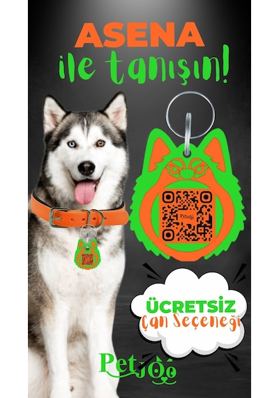 Petjoo 25.Asena Yeşil-Turuncu Qr'lı Köpek Künyesi