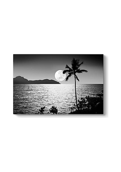 Yakamoz Tablosu 75 X 50 -