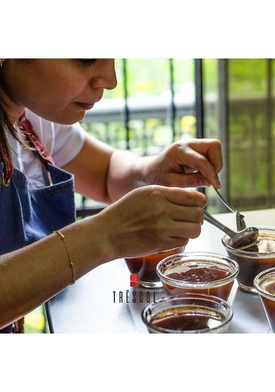 Cafe Nice Kahvesi Özel Harman Kağıt Filtre İçin Öğütülmüş, 250 Gr Çok Renkli