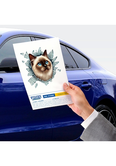 Bay Fulcar Siamesse Araç Stickerı Najmaddin