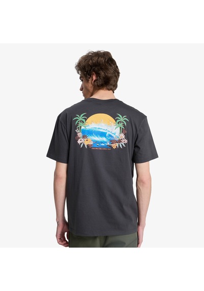 Quiksilver Fruits Tide Erkek Gri T-shirt Eqyzt08285
