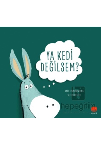 Ya Kedi Değilsem