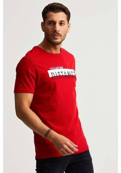 Alexander Gardi Baskılı Erkek T-Shirt - Kırmızı