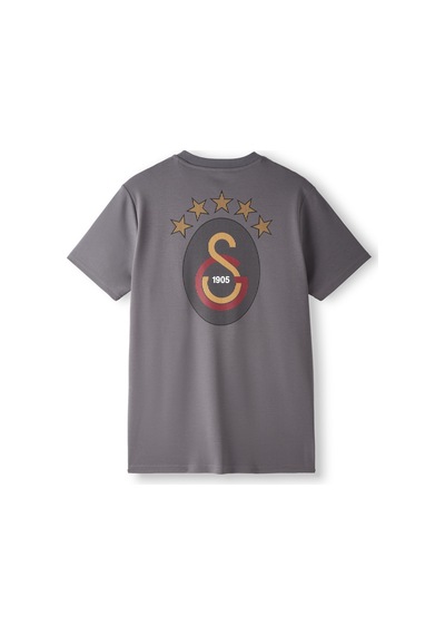 Gsstore Galatasaray Erkek T-shirt E261077 Koyu Gri