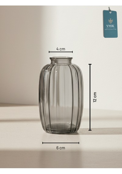 Chacha Home Modern 3'lü Minimalist Cam Çiçek Vazosu Dekoratif Masa Üstü Vazo Seti Füme