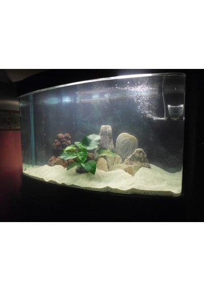 Beyaz Silis Akvaryum Kumu 5 Kg 1-1.50 Mm