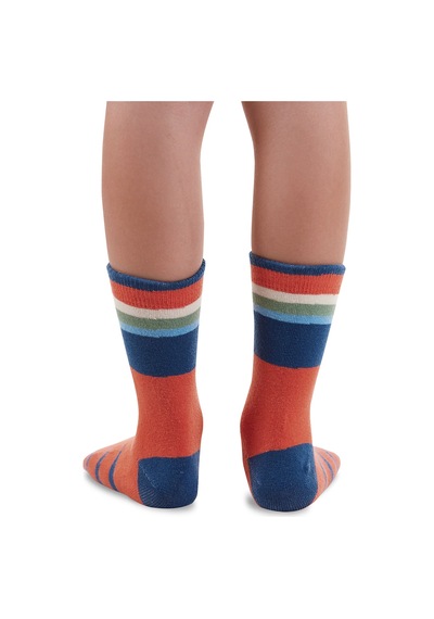 Denokids Erkek Çocuk Kaplan ve Timsah Desenli Pamuklu Lacivert 2'li Paket Çorap 2-9 Yaş