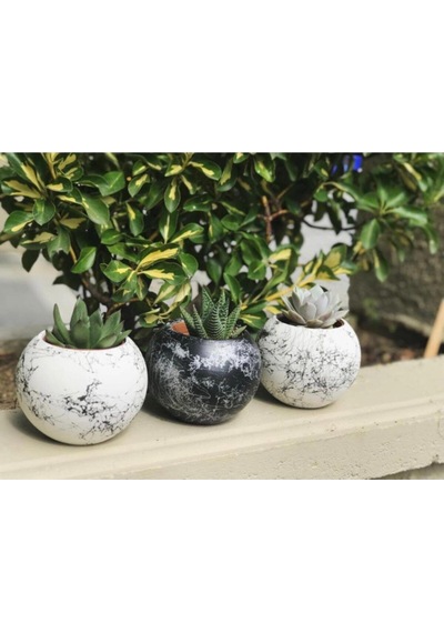 Yuvarlak Model Mermer Desenli Beton Saksı Saksılıkkaktüslükm