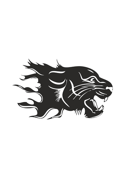 Aslan 11 Folyo Sticker 70cm Uzunluk Siyah