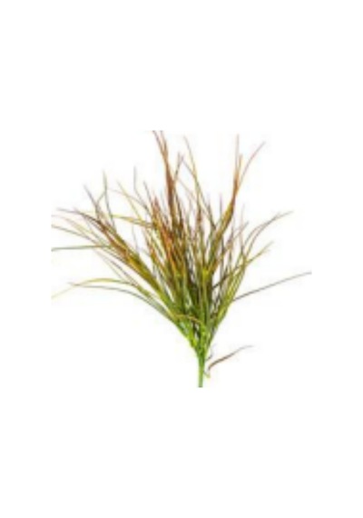 Yapay Saz Demet Parlak Kızıl-yeşil 55 Cm Çok Renkli