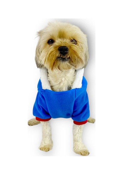 Kemique Sweet Blue Rabbit Kapşonlu Sweatshirt Köpek Kıyafeti Kemique Sweet Blue Rabbit Kapşonlu Sweatshirt Köpek Kıyafeti