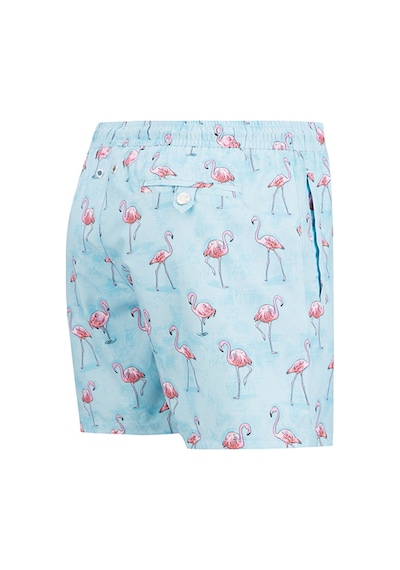 John Frank Flamingo Desenli Hızlı Kuruyan Mayo Short Erkek Mayo Short Jfsssw43 Açık Mavi John Frank Flamingo Desenli Hızlı Kuruyan Mayo Short Erkek Mayo Short Jfsssw43 Açık Mavi
