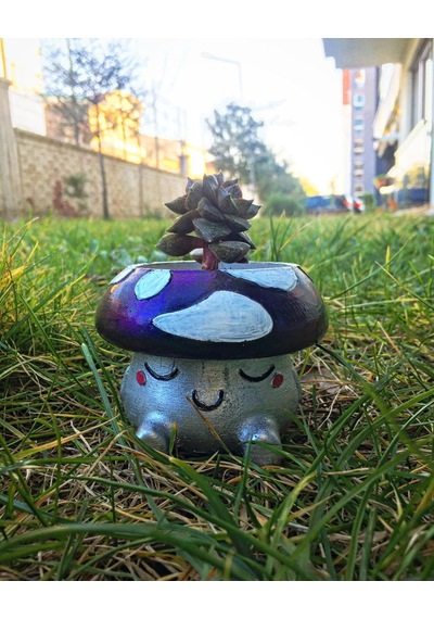 Beton Saksı Mutlu