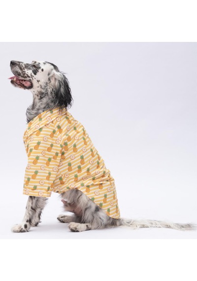 Panama Orta Ve Büyük Irk Köpek Gömleği - Köpek Kıyafeti 15 Kg-45 Kg