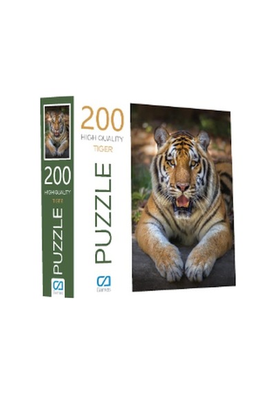 Kaplan Puzzle 200