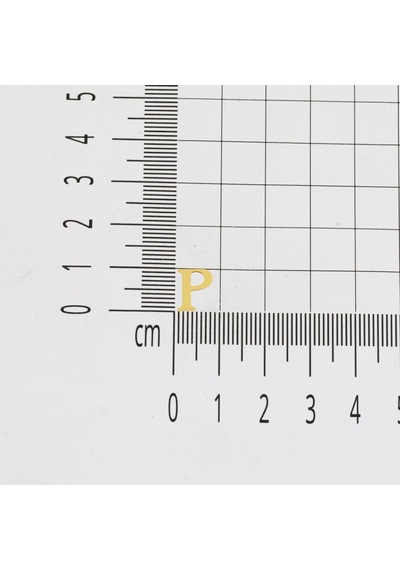 P Harfi Minimal 14 Ayar Altın Küpe