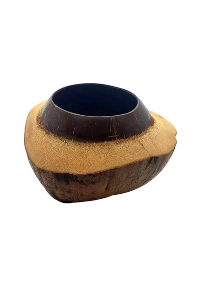 Coconut Hindistan Cevizi Kase Kabuklu Coconat Kase