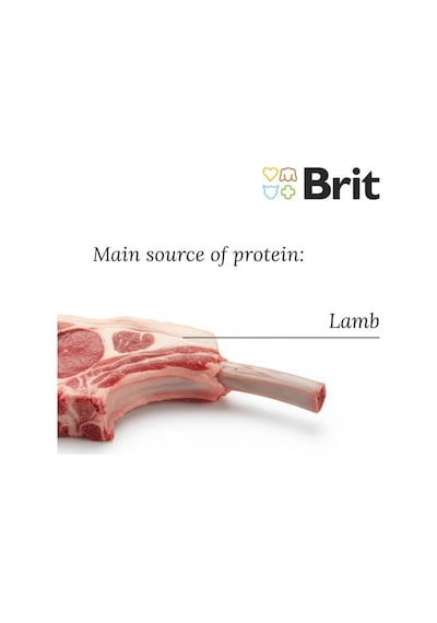 Brit Care Küçük Irk - Yetişkin Köpekler İçin, Hipoalerjenik, Kuzu Etli Kuru Mama 7 Kg