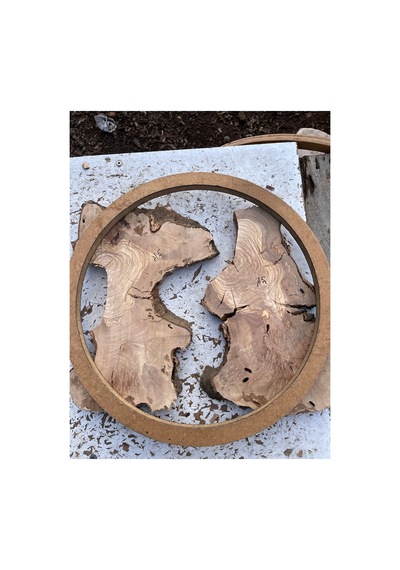 Ham Zeytin Ağacı Parçaları Epoksi Projeleri İçin Kurutulmuş, Kabukları Temizlenmiş, Zımparalanmış, 2,5 Cm Döküme Hazır 30 Cm Ham Zeytin Ağacı Parçaları Epoksi Projeleri İçin Kurutulmuş, Kabukları Temizlenmiş, Zımparalanmış, 2,5 Cm Döküme Hazır 30 Cm