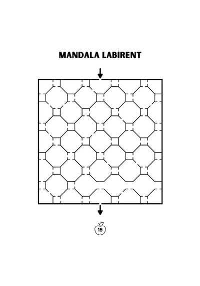 Mandala Labirent Bulmaca Kitabı