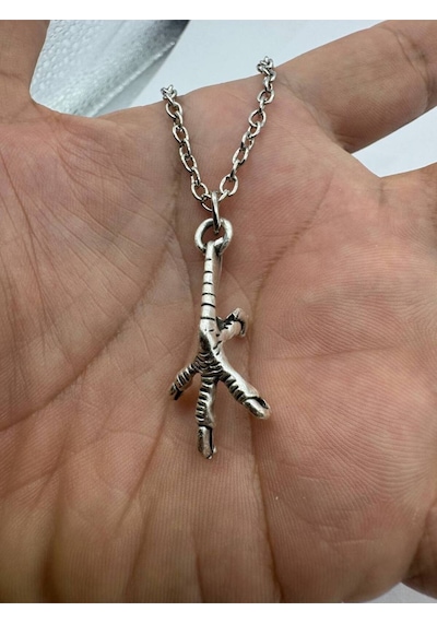 Claw Charm Tavuk Pençesi Figürlü Unisex Kolye 60 Cm Zincirli Çok renkli