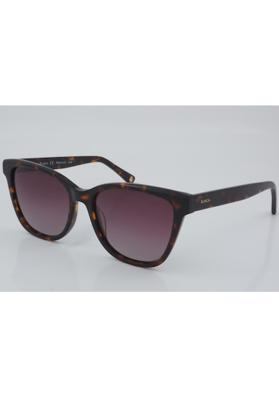 Blancia Bc 1177 C2 53 - 01 Güneş Gözlüğü Leopar