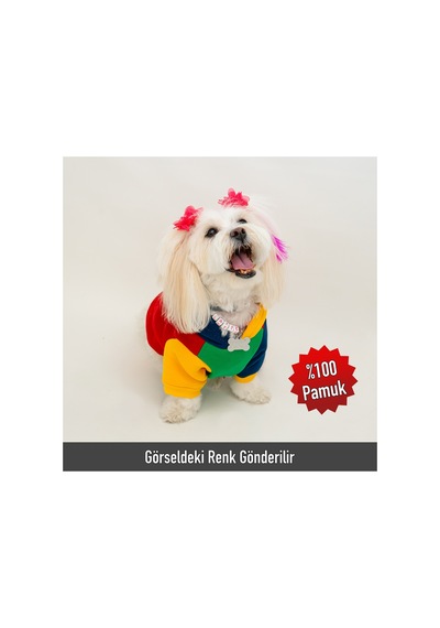 Premium Kapüşonlu Kedi Ve Köpek Sweatshirt Renkli Şık Pet Elbisesi
