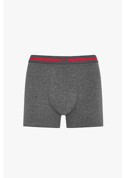 Penti  Erkek Renkli Classic Core Çoklu Boxer