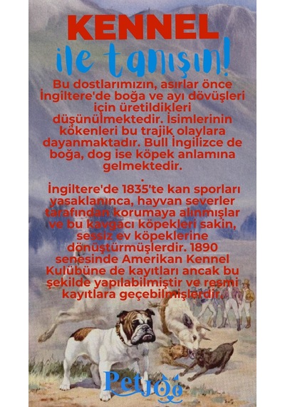 Petjoo 16.Kennel Mavi-Kırmızı Qr'lı Köpek Künyesi