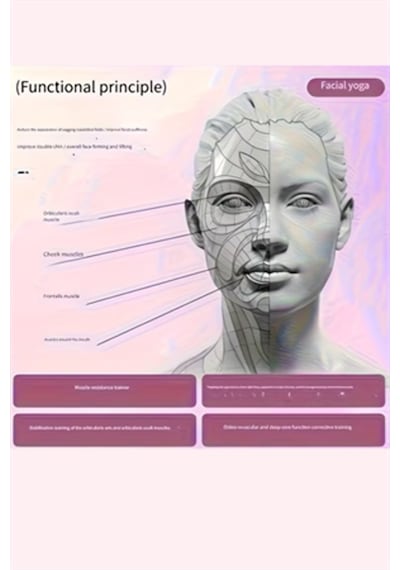 Taşınabilir V-şekilli Çene Ve Yüz Antrenör Cihazı Çift Mantalık Azaltıcı, Çene Güçlendirme & Profi