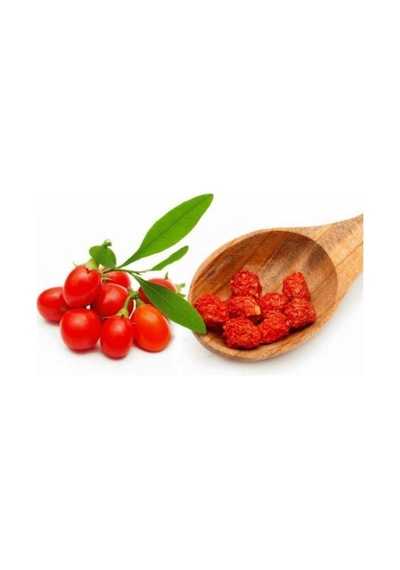Süper Paket 250 Adet Tohum İthal Goji Berry Tohumu Gojiberry Goji