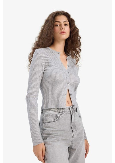 Defacto Regular Fit Bisiklet Yaka Triko Hırka A2076ax25wngr253 Gri