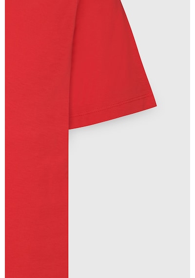 Ac&Co / Altınyıldız Classics Slim Fit Bisiklet Yaka Kısa Kol Pamuklu Erkek Tişört Koyu Turuncu