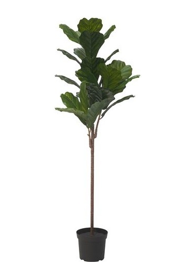 Ikea Fejka Yapay Bitki, Yeşil, 19 Cm, İç/dış Mekan Pandora Kauçuğu Bitkisi