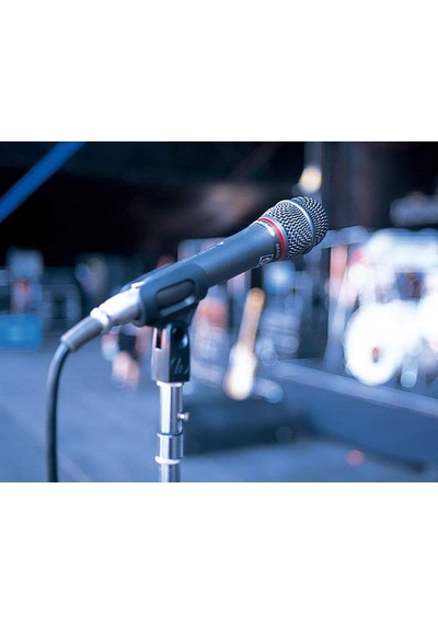 Audio-technica Ae6100 Hiperkardioid Dinamik Vokal Mikrofonu, Gri