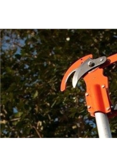 Bağ Bahçe Budama Kesme Seti Tepe Makası Yüksek Ağaç Dal Keme